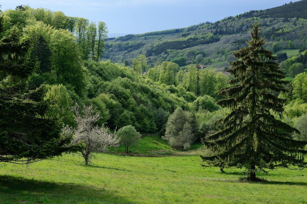 Vvf Les Fontaines Des Vosges Hotel Saales Bagian luar foto